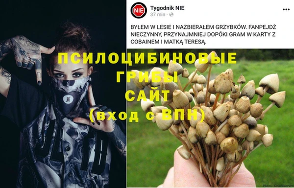 меф Арсеньев