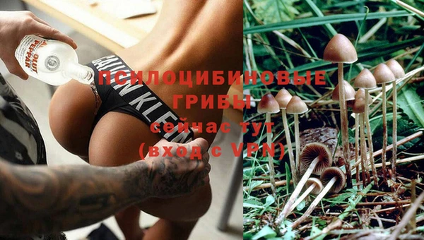 экстази Армянск
