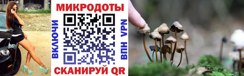 Галлюциногенные грибы MAGIC MUSHROOMS  Снежногорск 